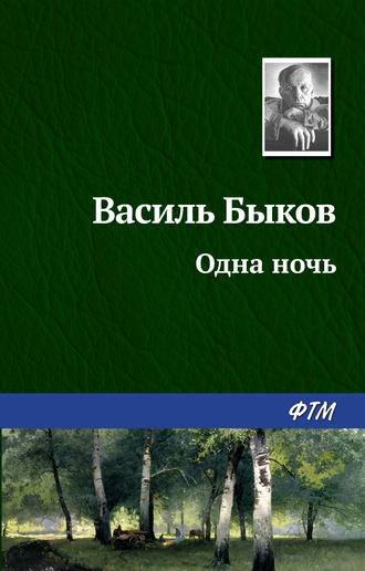 Сочинение по теме Война в рассказе Василия Быкова «Одна ночь»